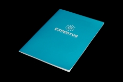 Журнал для компании «Expertus»