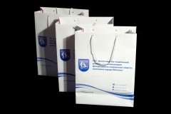 Пакет для ГБУ «Центр медико-социальной реабилитации инвалидов»