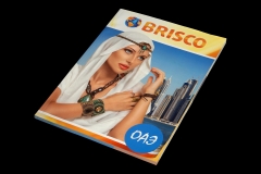 Журнал для компании «BRISCO»
